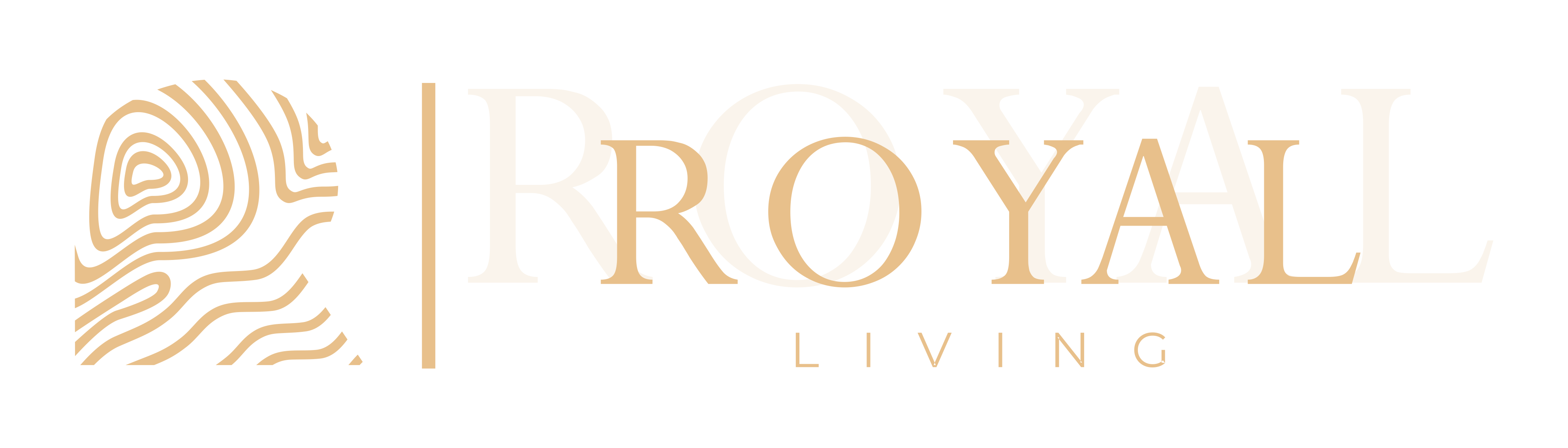 CV. Royal Furniture